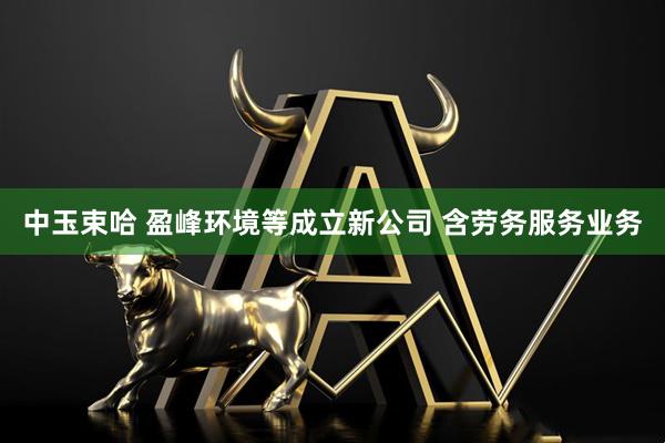 中玉束哈 盈峰环境等成立新公司 含劳务服务业务