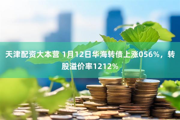 天津配资大本营 1月12日华海转债上涨056%，转股溢价率1212%